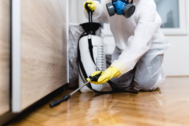 Best Residential Pest Control  in Monticello, IL