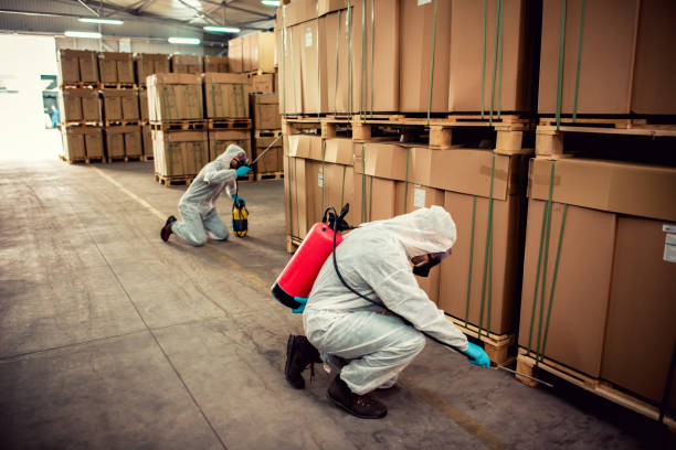 Best Pest Control Treatment  in Monticello, IL