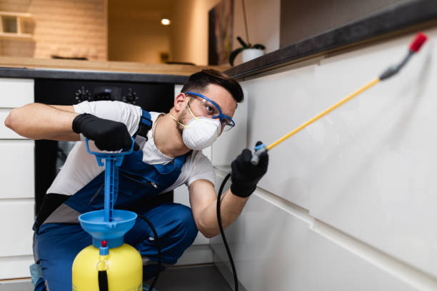 Flea Control Services in Monticello, IL