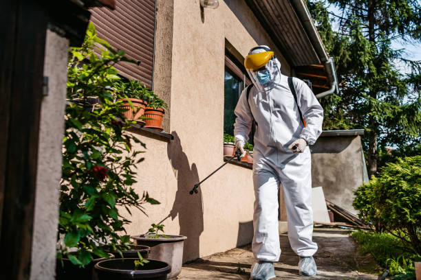 Wildlife Control Services in Monticello, IL