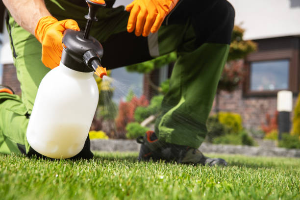 Reliable Monticello, IL Pest Control Solutions