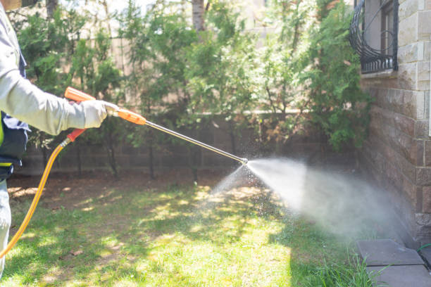 Best Ant Control Services  in Monticello, IL