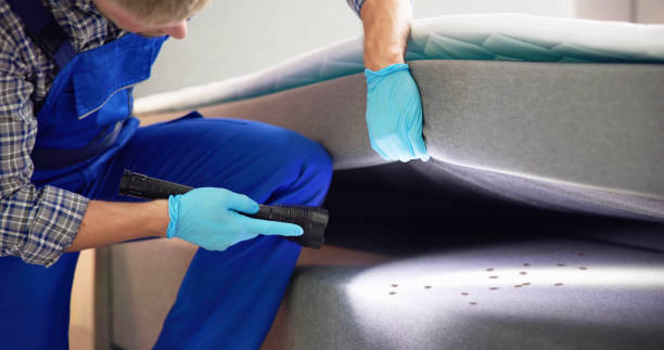 Best Bed Bug Extermination  in Monticello, IL