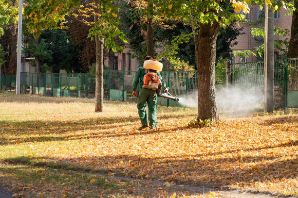 Best Local Pest Control Services  in Monticello, IL