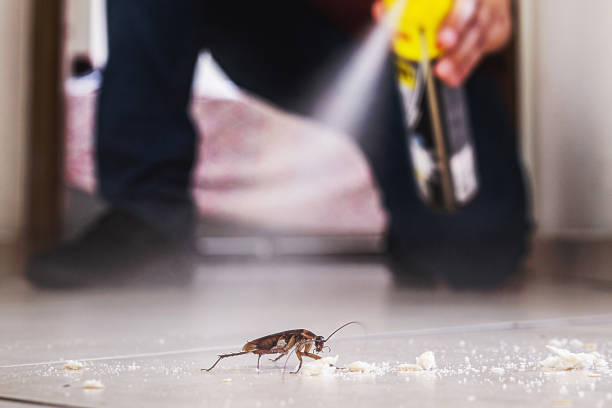 Flea Control Services in Monticello, IL