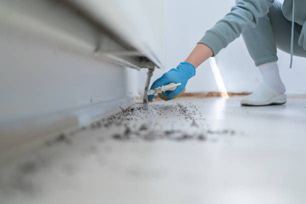 Best Best Pest Control Companies  in Monticello, IL