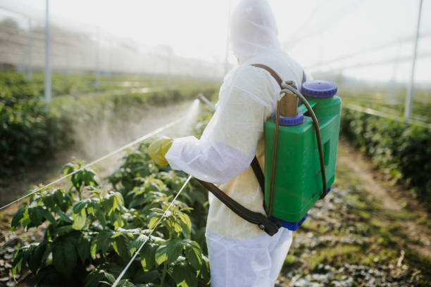 Best Pest Removal Services  in Monticello, IL